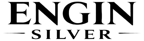 Engin Silver Logo